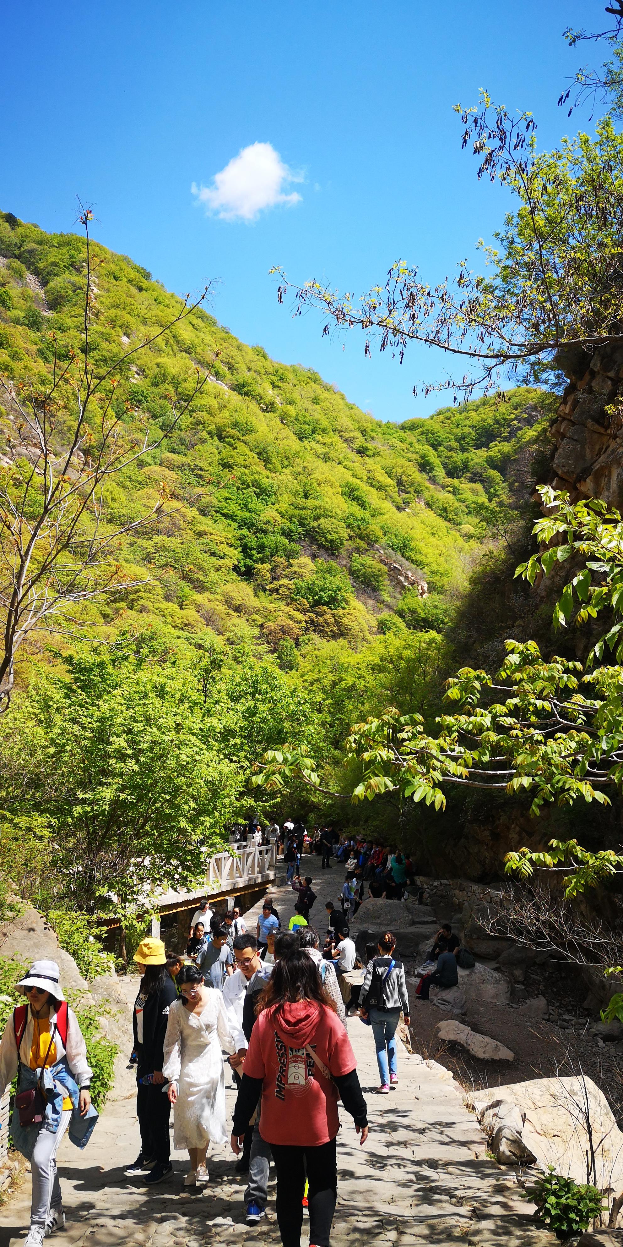 天津蓟州梨木台景区旅游攻略:上山坡缓不累,走栈道下山景色更美