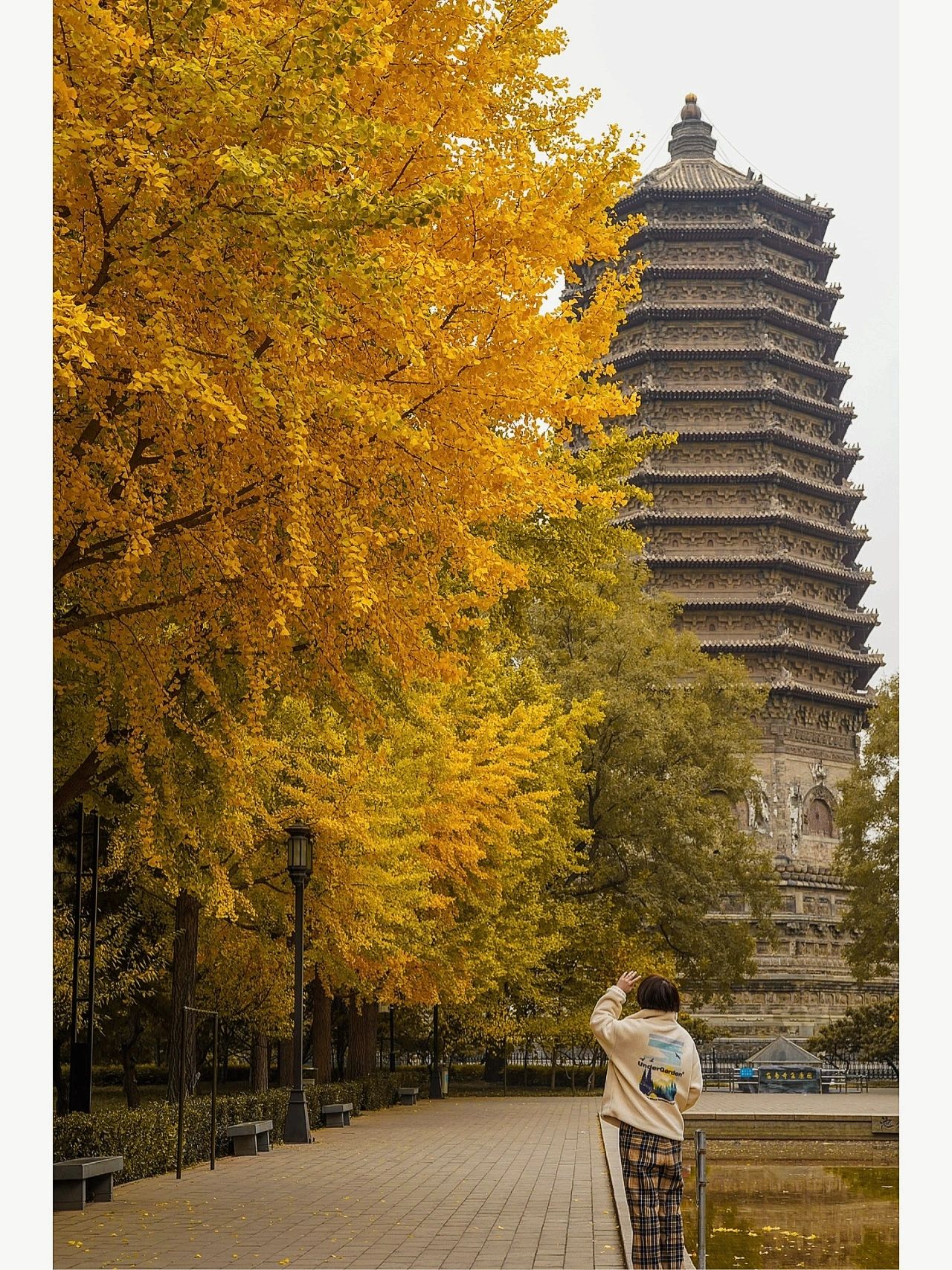一周都很出片 	 地址6号线慈寿寺站出站过马路便是 机位玲珑塔正面