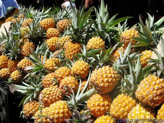 越南小菠萝怎么进口