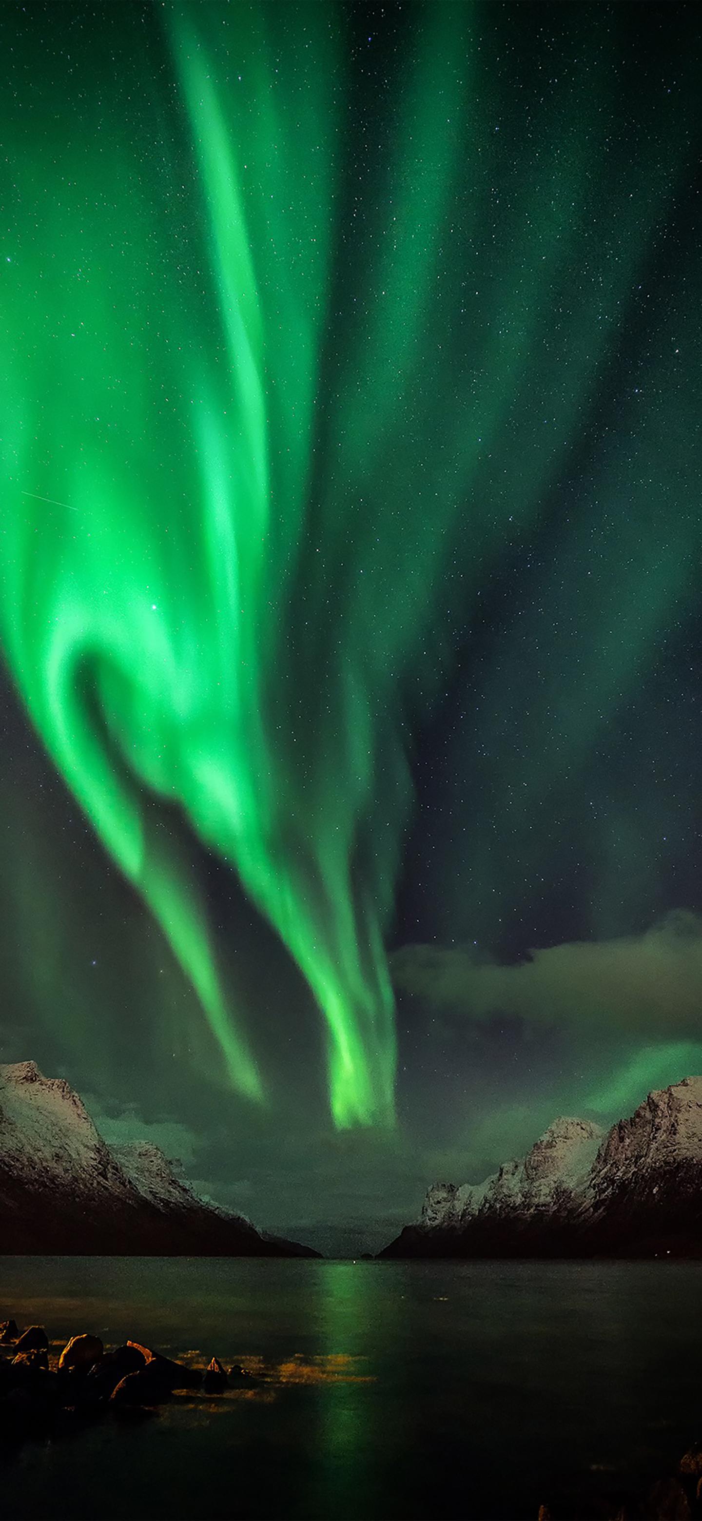 1440_3120竖版 竖屏