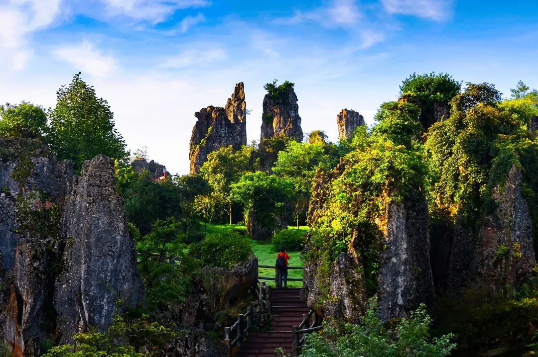 争创天府旅游名县|诗意广安 华蓥山魂