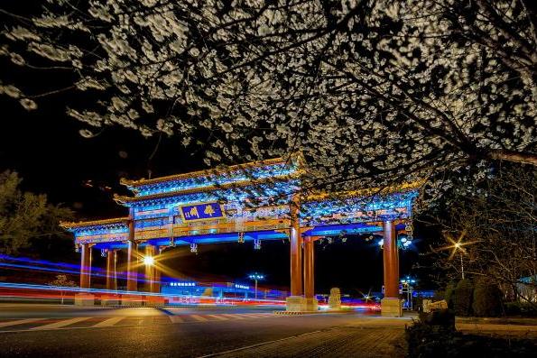 民之所盼,政之所向——大美雄县焕然一新