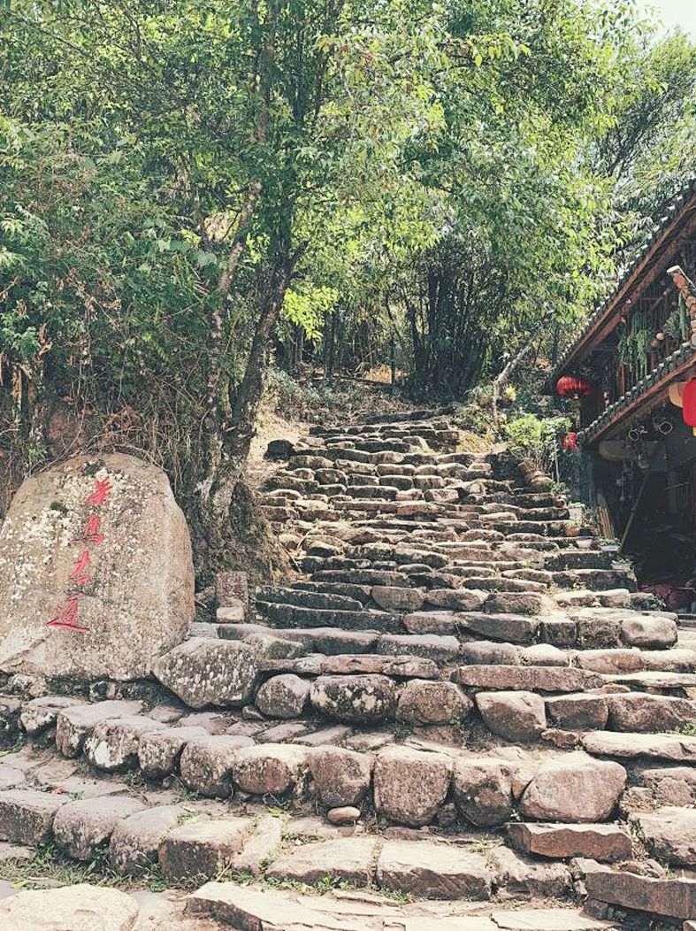 聚焦 | 普洱那柯里茶馬驛站景區擬獲批