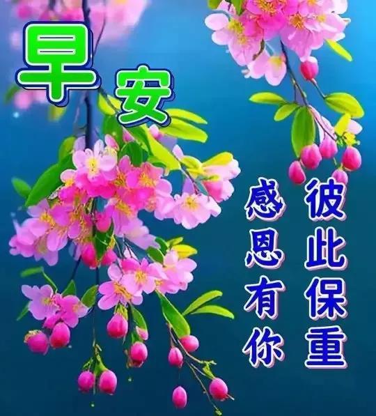 早安感恩祝福图片图片