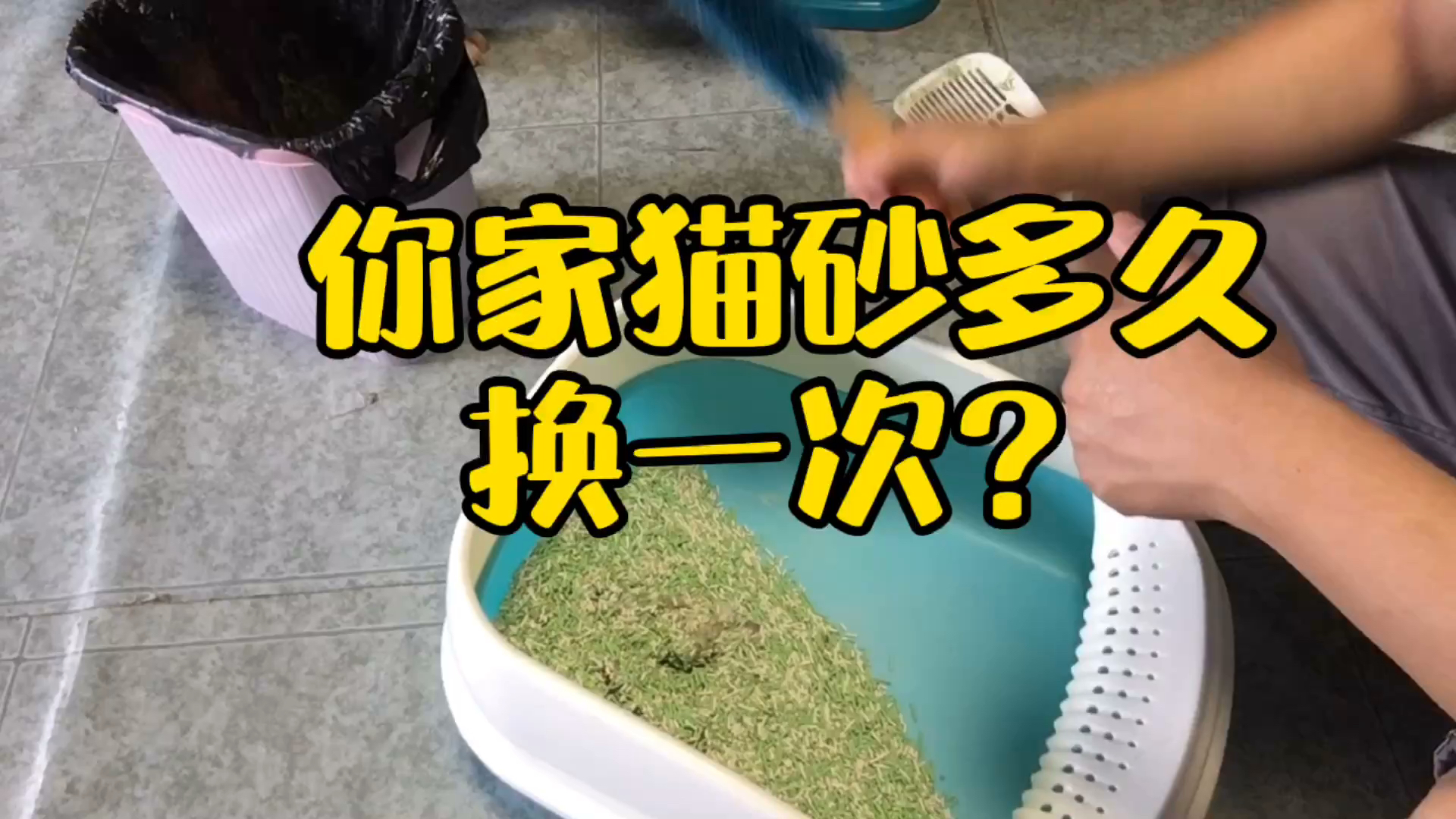 猫砂多久换一次?猫咪换砂攻略