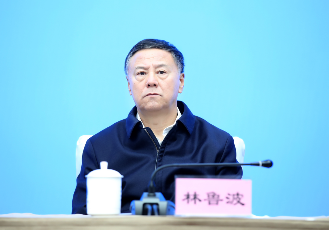 中央第十五督导组扫黑除恶督导专员林鲁波,全省第二批政法队伍教育