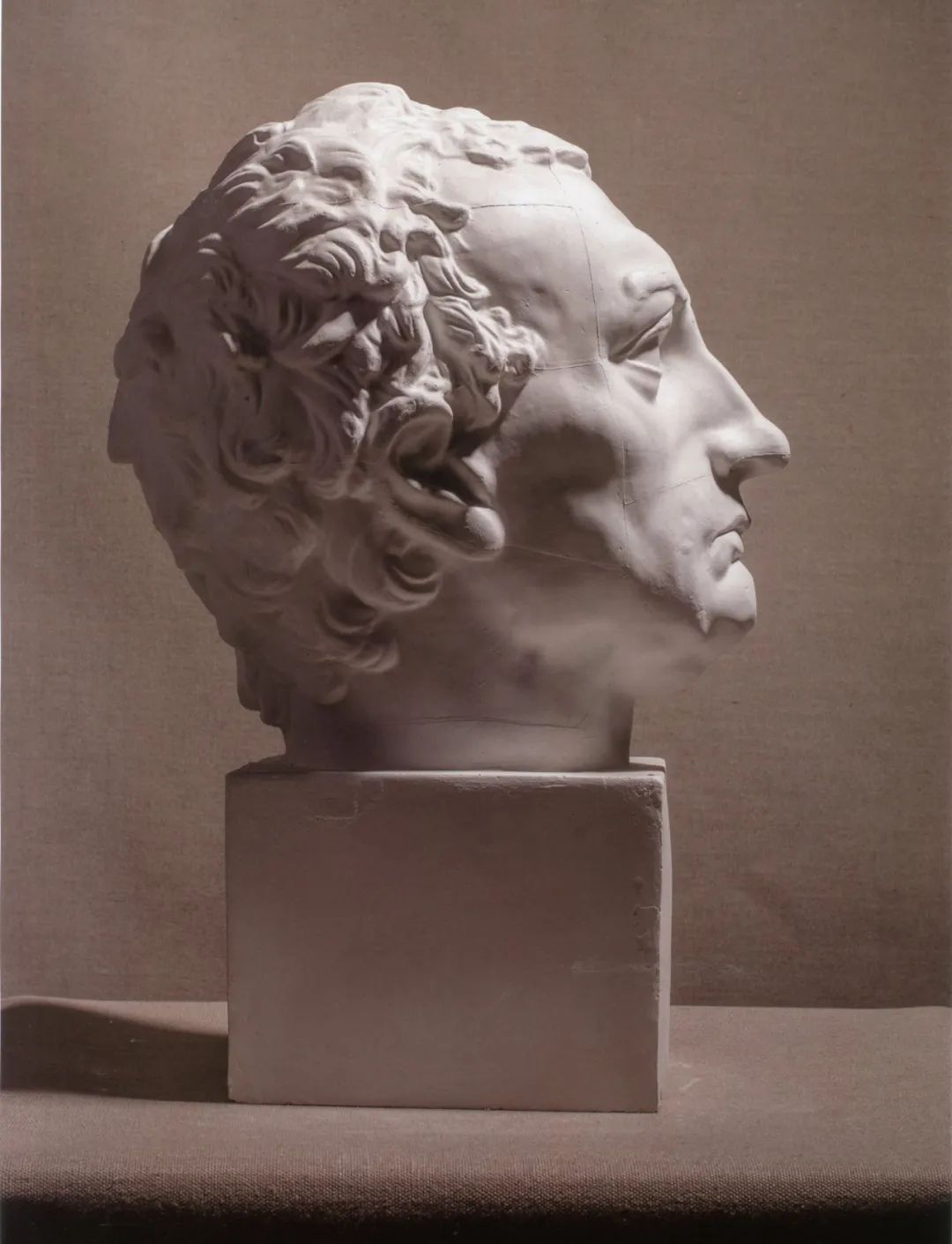 全网最全的美术生必知经典石膏像汇总