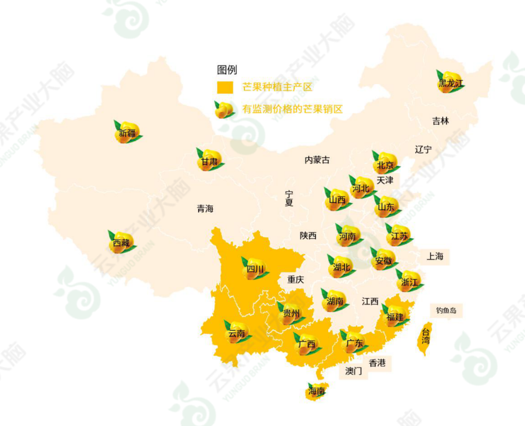 图表1:中国芒果市场主要产区及销区芒果是世界5大水果之一,生产规模在