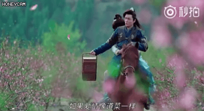 霍建华窦骁吴磊杨洋陈伟霆任嘉伦胡歌曾舜晞朱一龙肖战成毅龚俊钟汉良