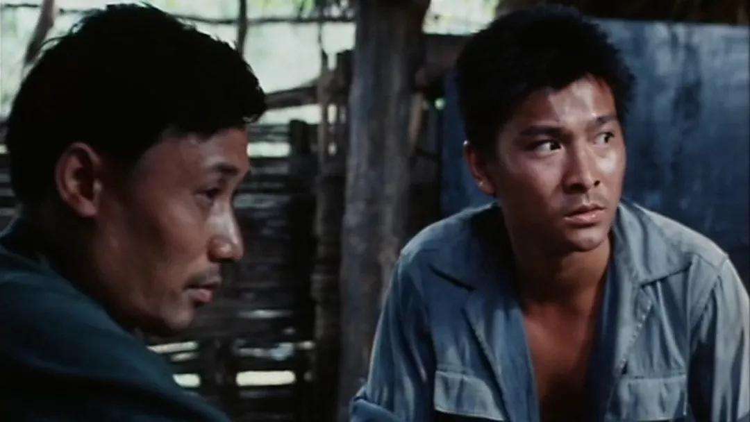 刘德华第一获得奖杯电影 投奔怒海