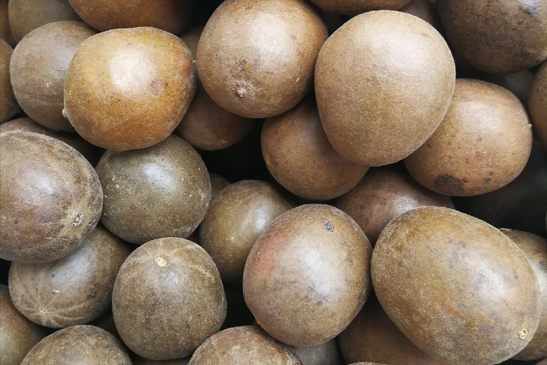 原产我国且严格禁止种子外泄罗汉果为什么能引起美国重点关注