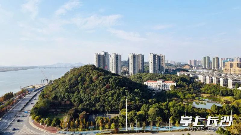 籃球,足球,游泳……鵝羊山體育公園來了!