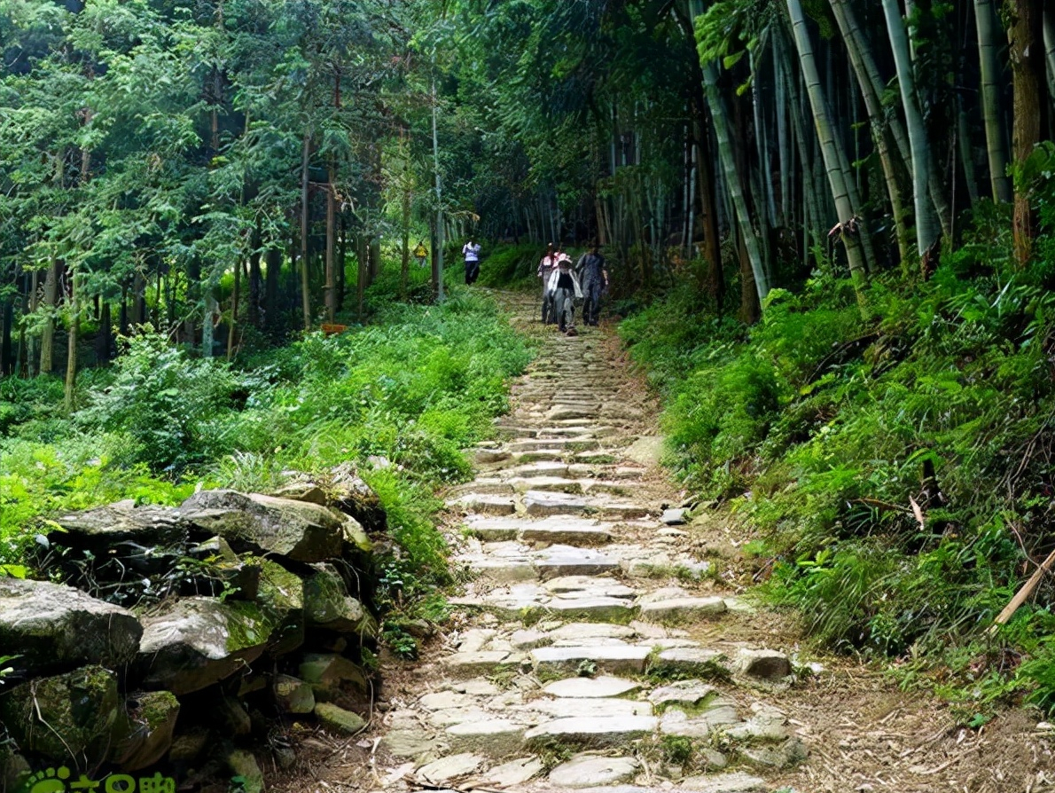 仙缙古道图片