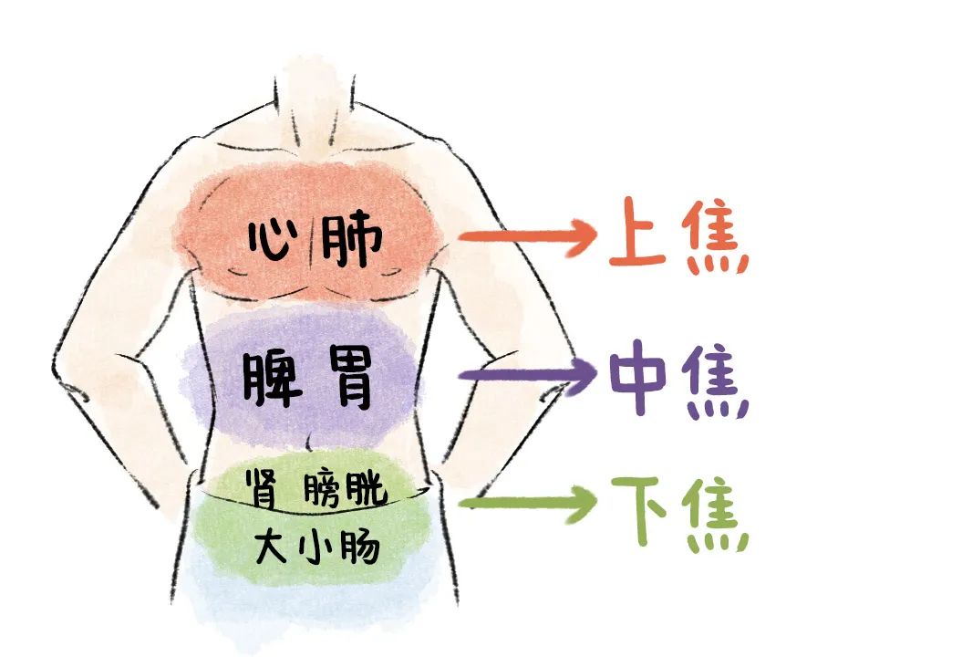 身体上有个神奇的地方