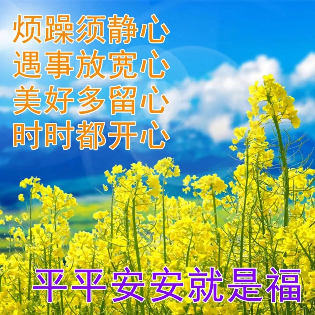 大家早上好最好图片,最好看早上好图片大全