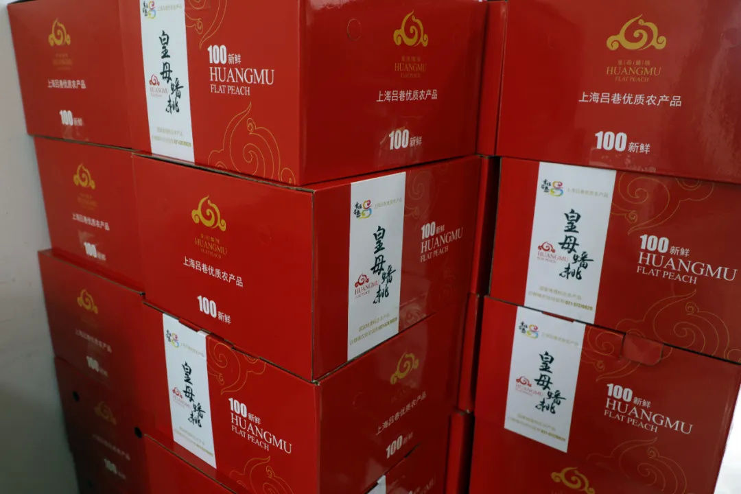 万余斤金山蟠桃上东方cj热卖!