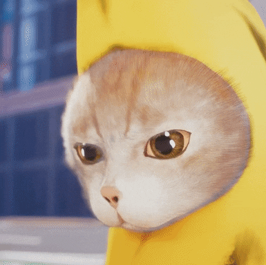 来拿!香蕉猫表情包第三期