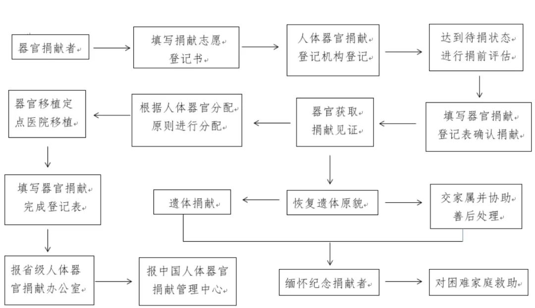 人体器官捐献条件图片