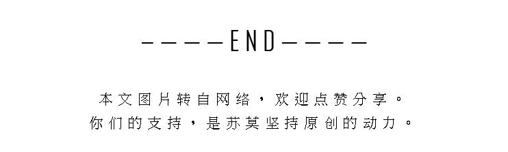 鲨鱼电影这么多为什么十鲨九扑几乎都是绝世大烂片