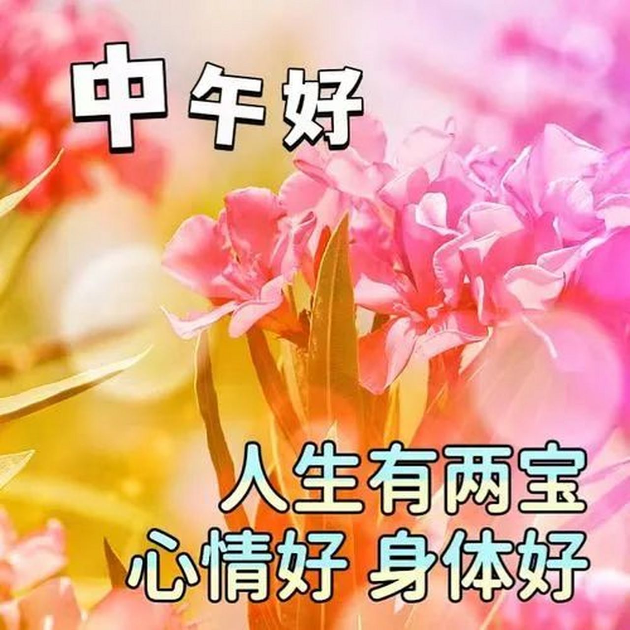 午安精选祝福图片大全,问声好,身体好!