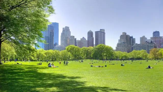 济南大华公园城市售楼处电话4007631618转64449售楼中心地址官方权威