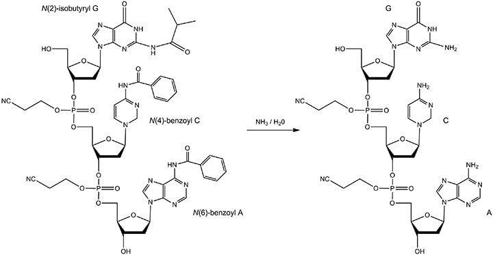默克生命科学|dna寡核苷酸合成