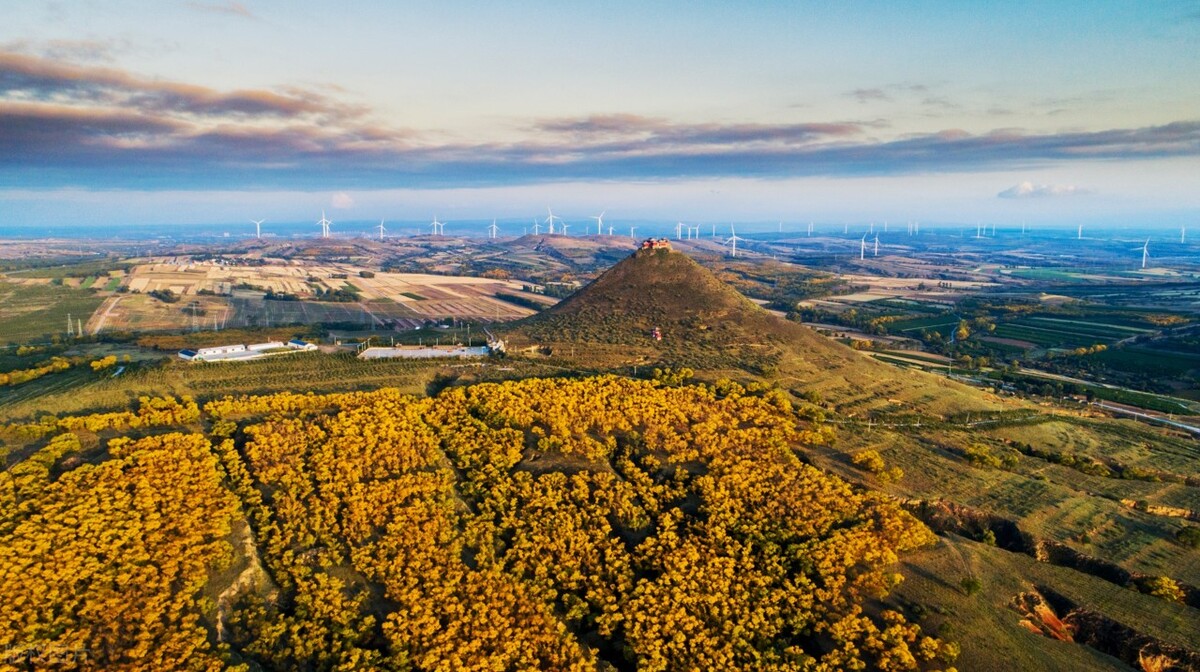 右玉精神下的右玉沙棘,是如何成为富民产业的