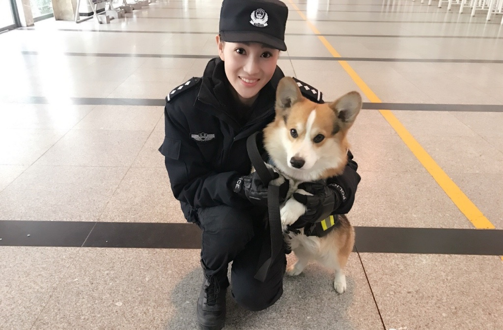 军旅"最美女神"侯梦莎:因搭档吴京走红,脱掉军装后更美了