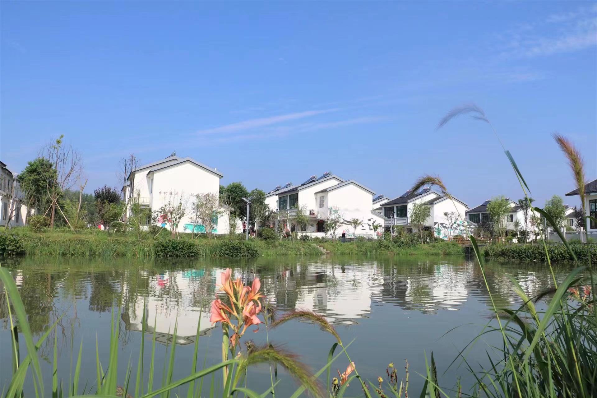 江苏建湖高作镇:文明村镇创建让乡村焕发新颜值