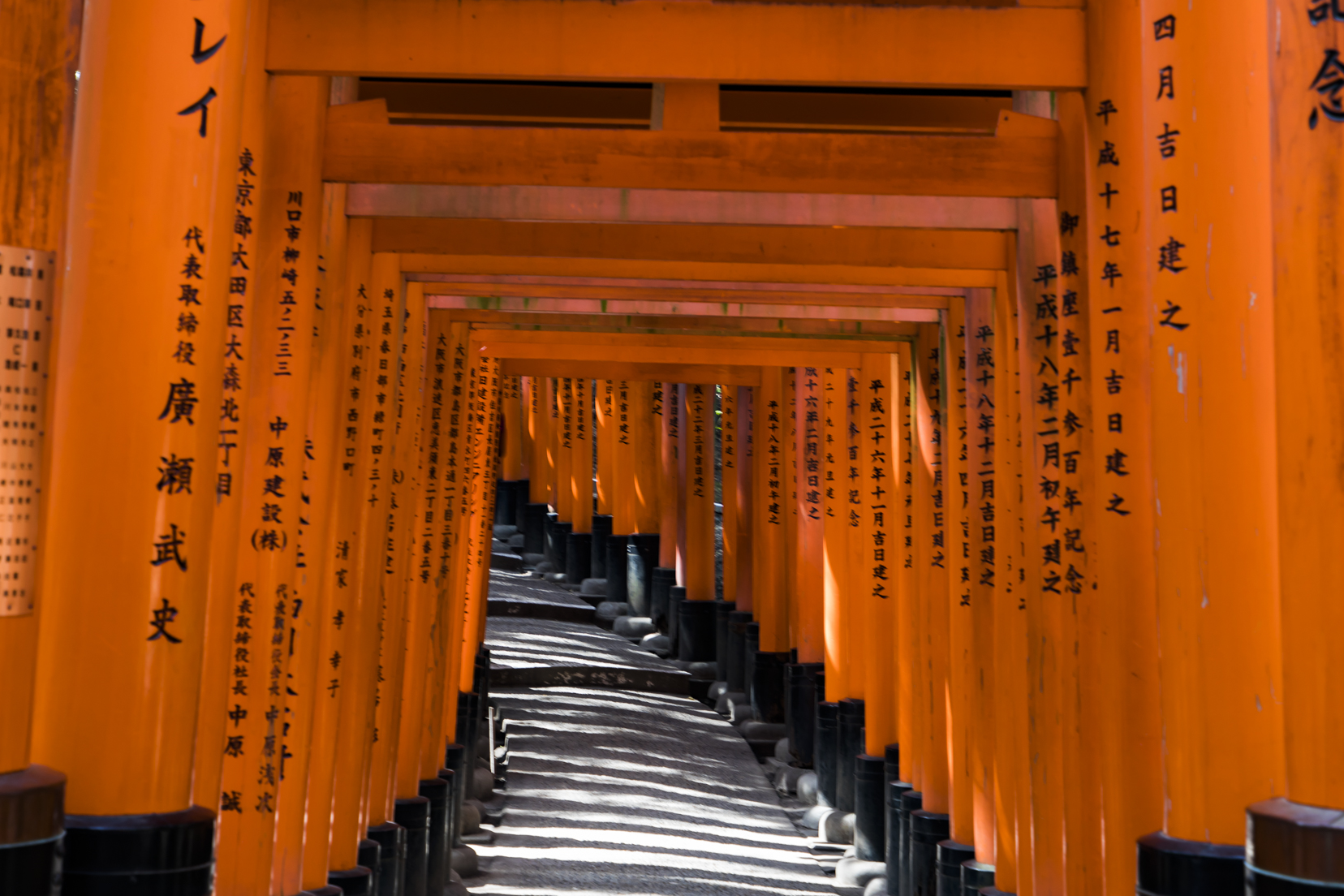 日本最惊艳的景点,京都千本鸟居,上万座红色鸟居连结成时光隧道