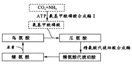 尿氨酸氨甲酰基转移酶缺乏症,发病原因较复杂,临床症状十分危险