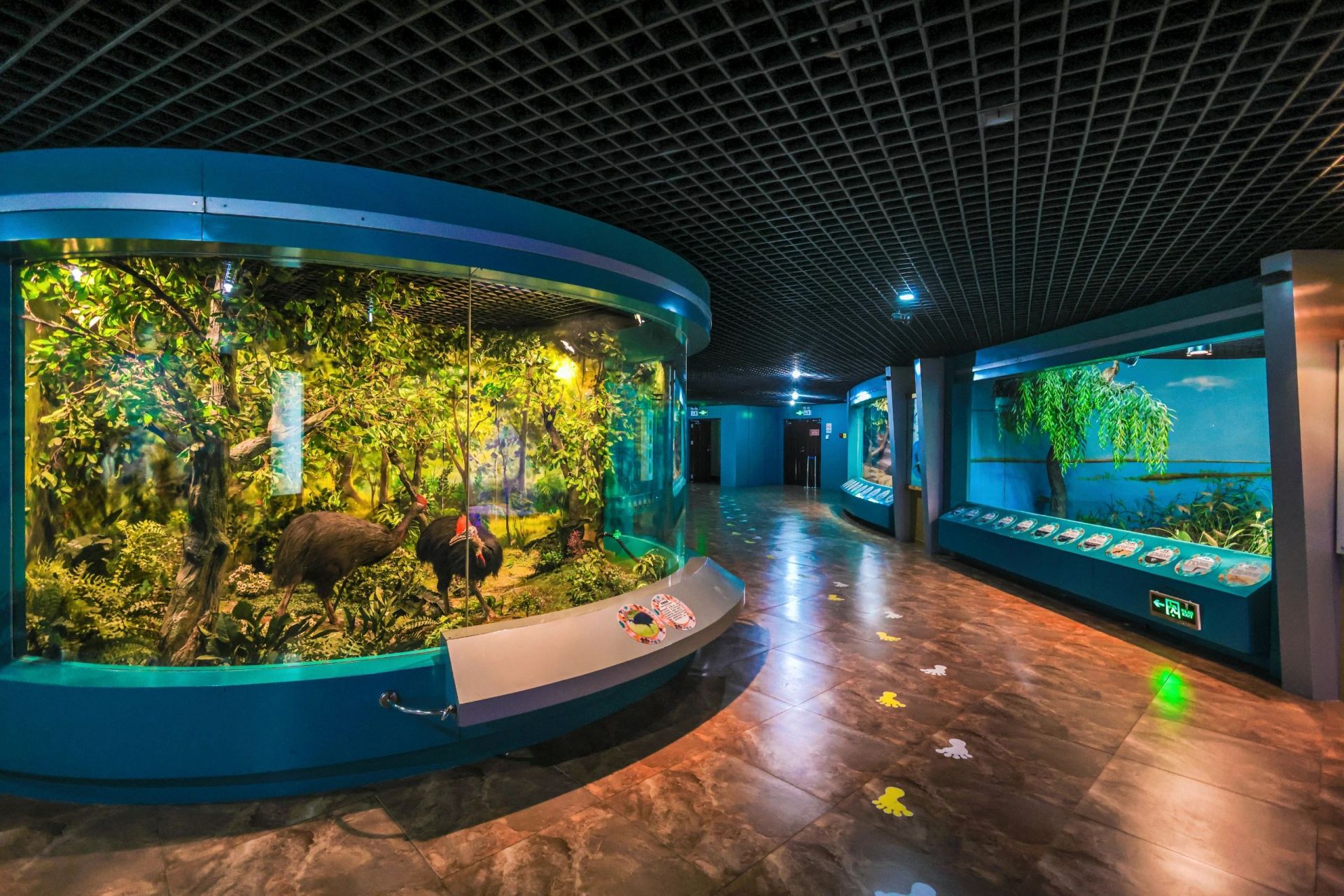 长春溜娃必去 | 自然博物馆  03速懂攻略 更多长春小众好去处, 93