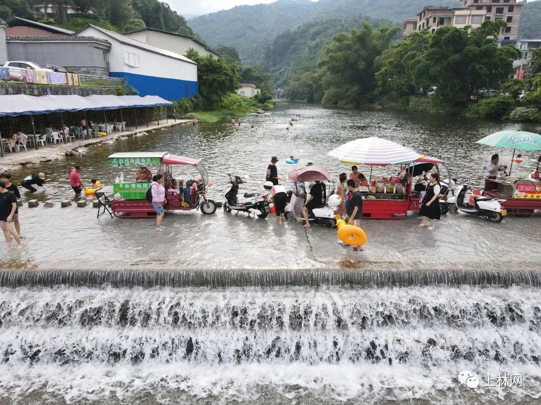 上林茶场逐日恢复"人海"模式,一些问题不容忽视!