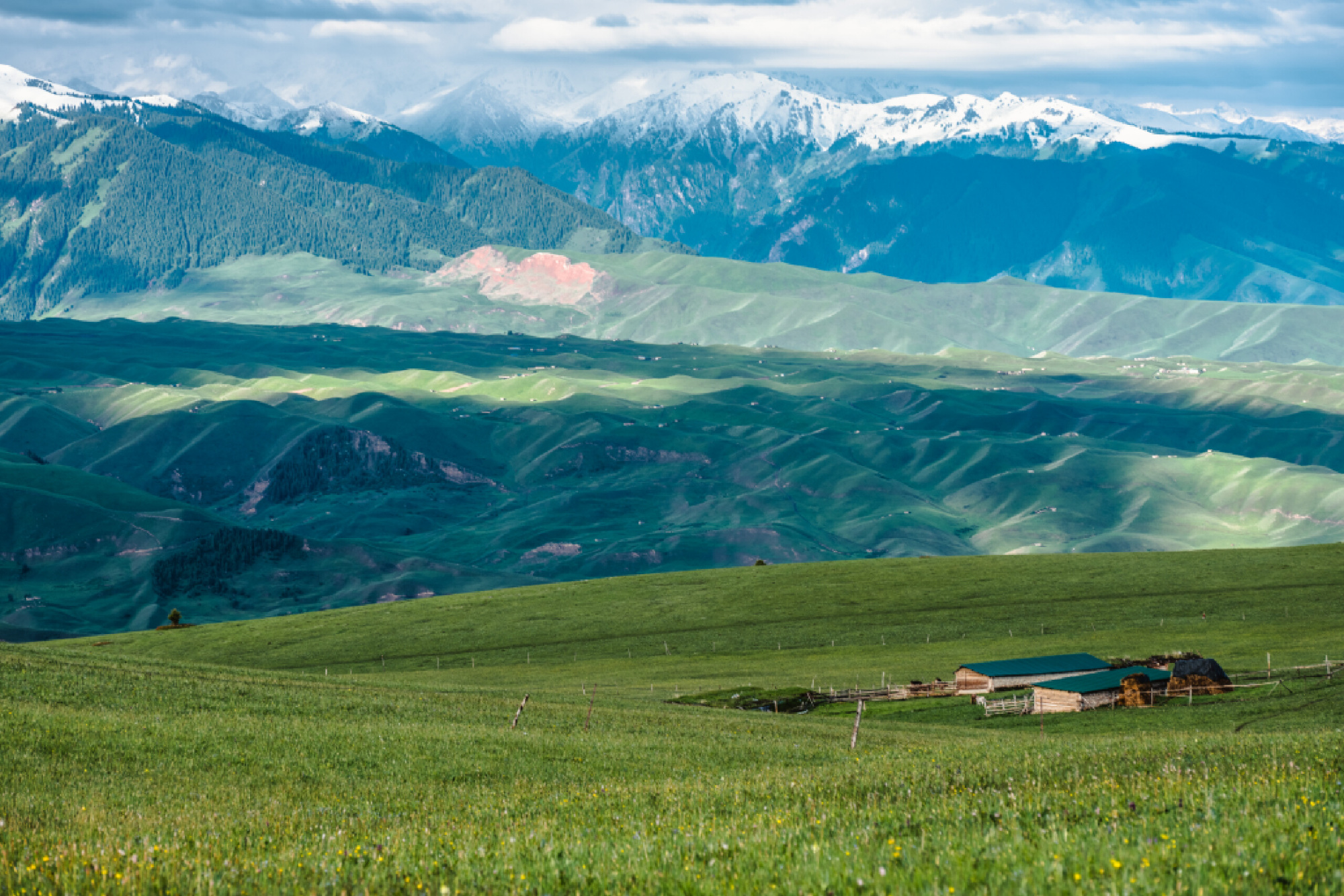 旷野天低水清云近微风吹过走在草地上幽幽的草香扑面而来
