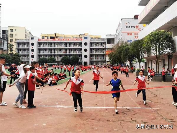 恩阳区柳林小学：举行第七届田径运动会(图1)