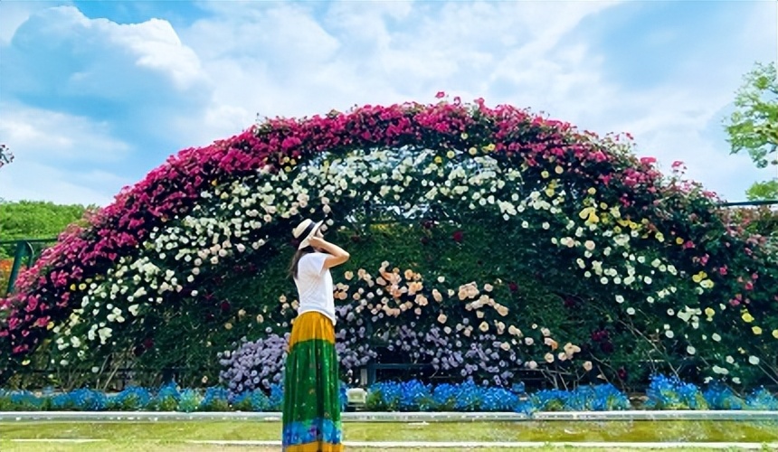 栃木县「足利花卉公园」紫藤花梦幻绝景,园内赏花,美食全攻略
