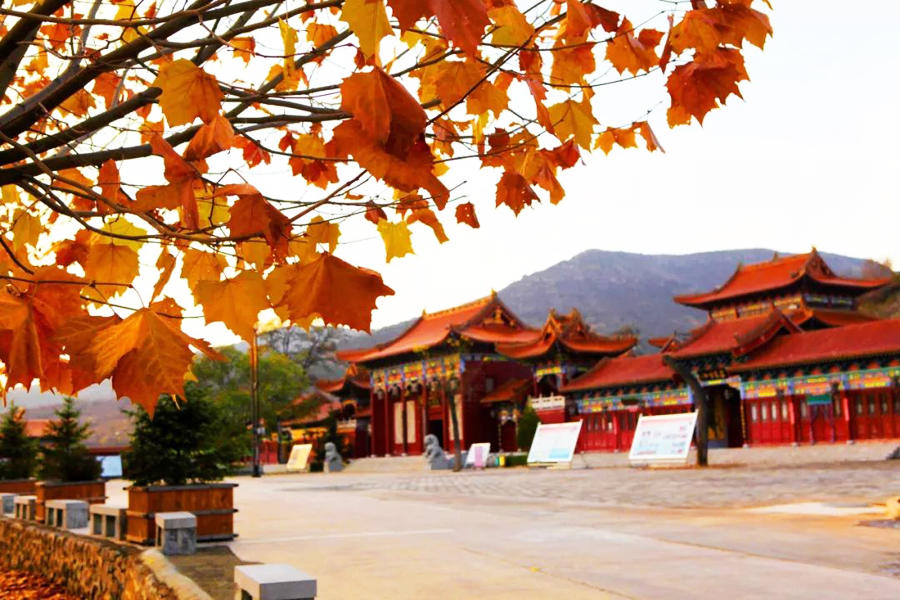 太出片!长治振兴小镇秋日温柔"写真"出炉