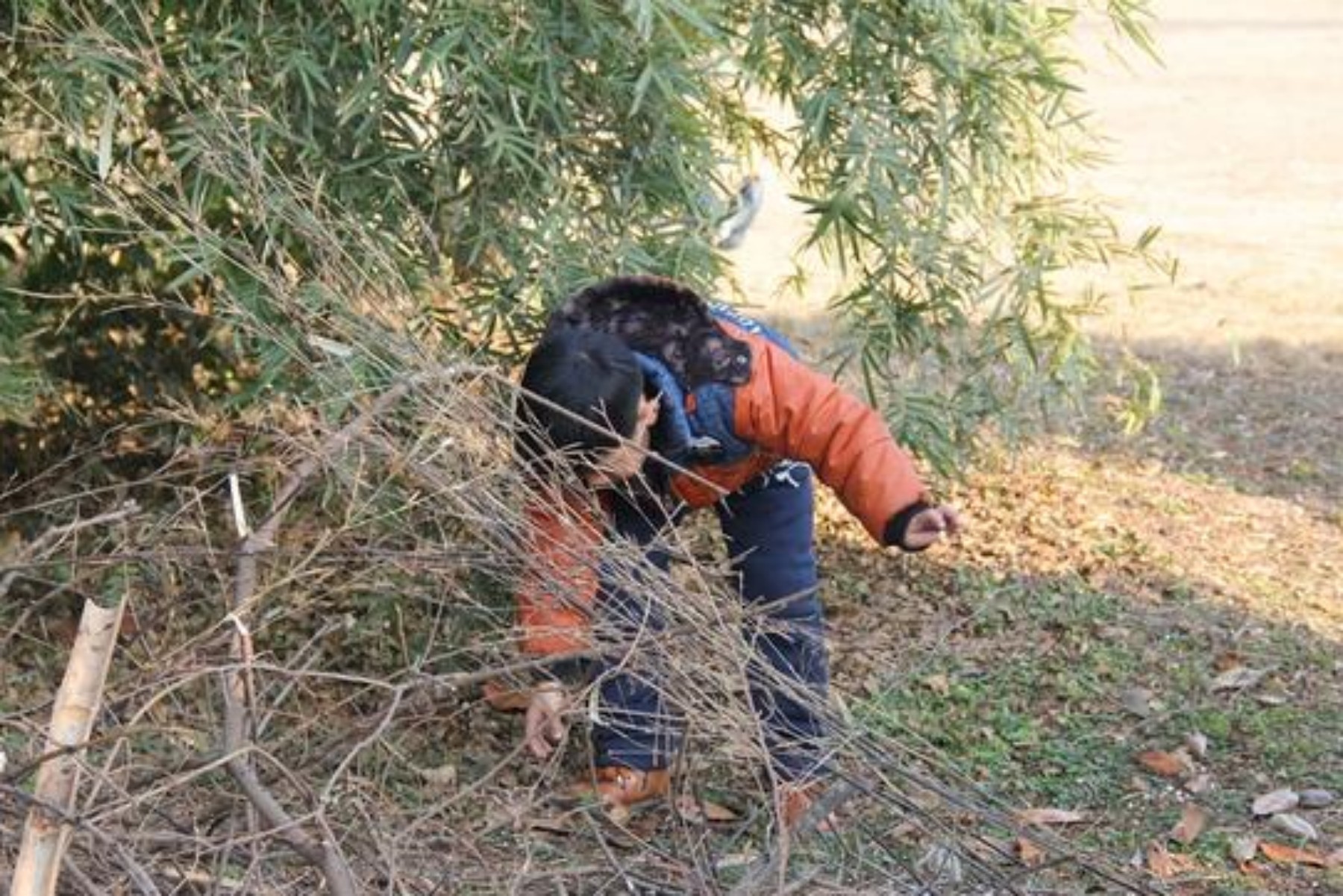 81年陝西中學生在河邊撿到一破石頭,專家鑑定後:全世界僅此一個