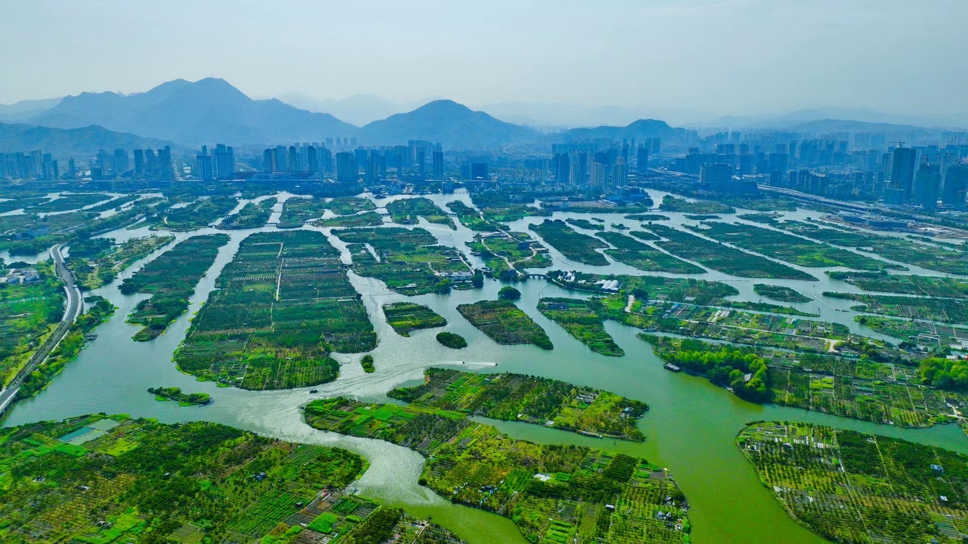 温州三垟湿地公园介绍图片