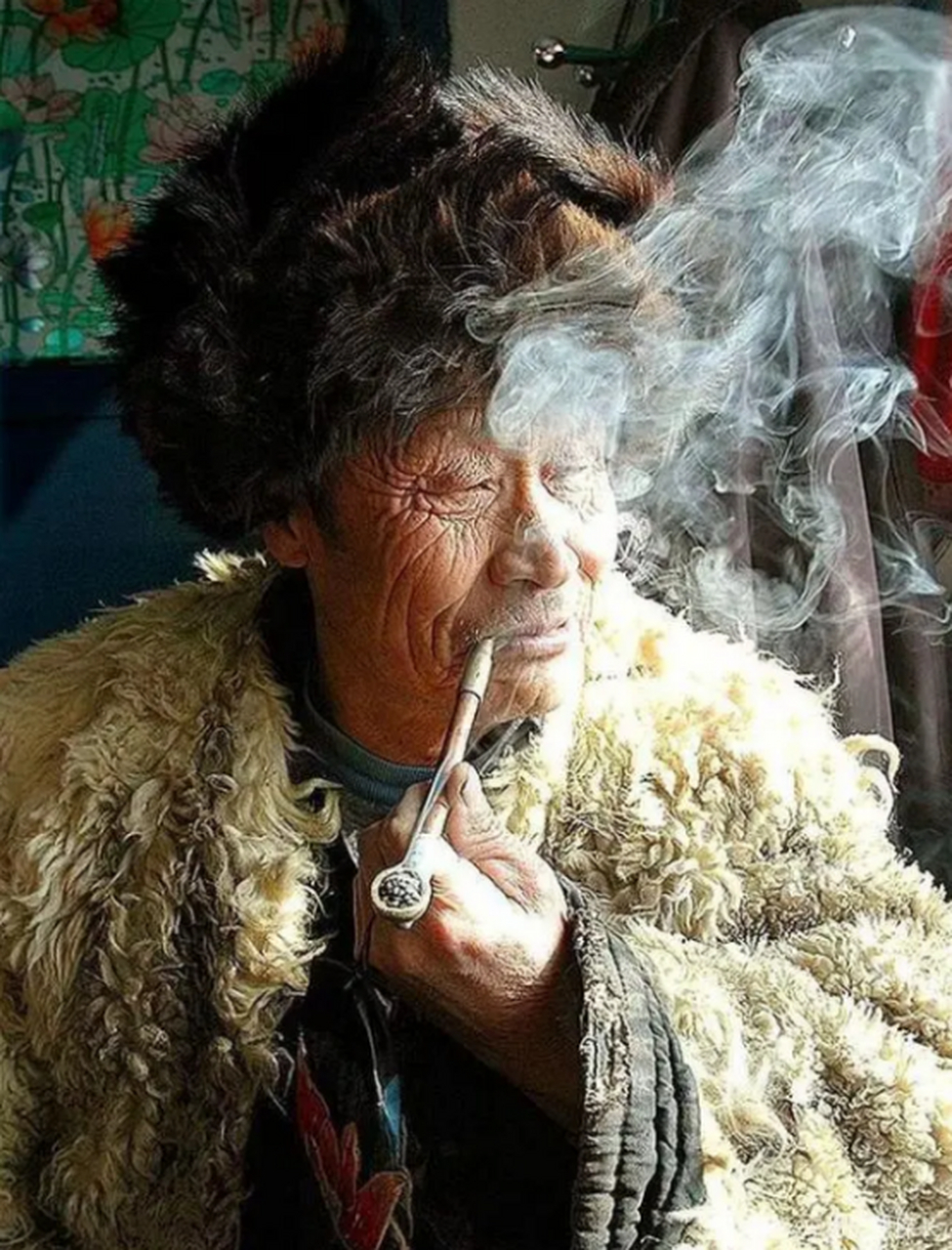 东北长白山一只母狼产子时无食物,老猎人送猪头救活狼崽,让他没想到的