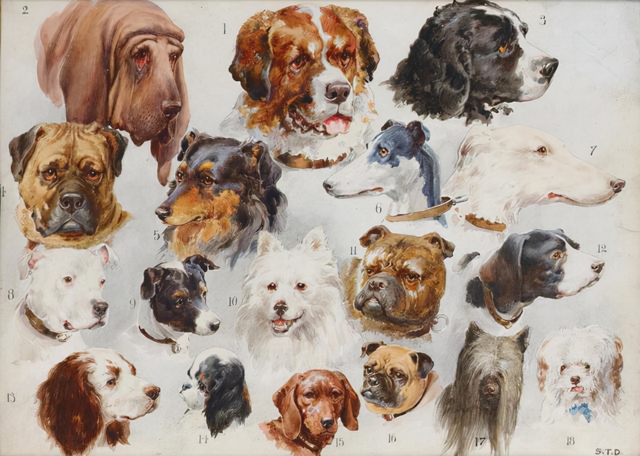 艺术家笔下的写实油画宠物狗100幅