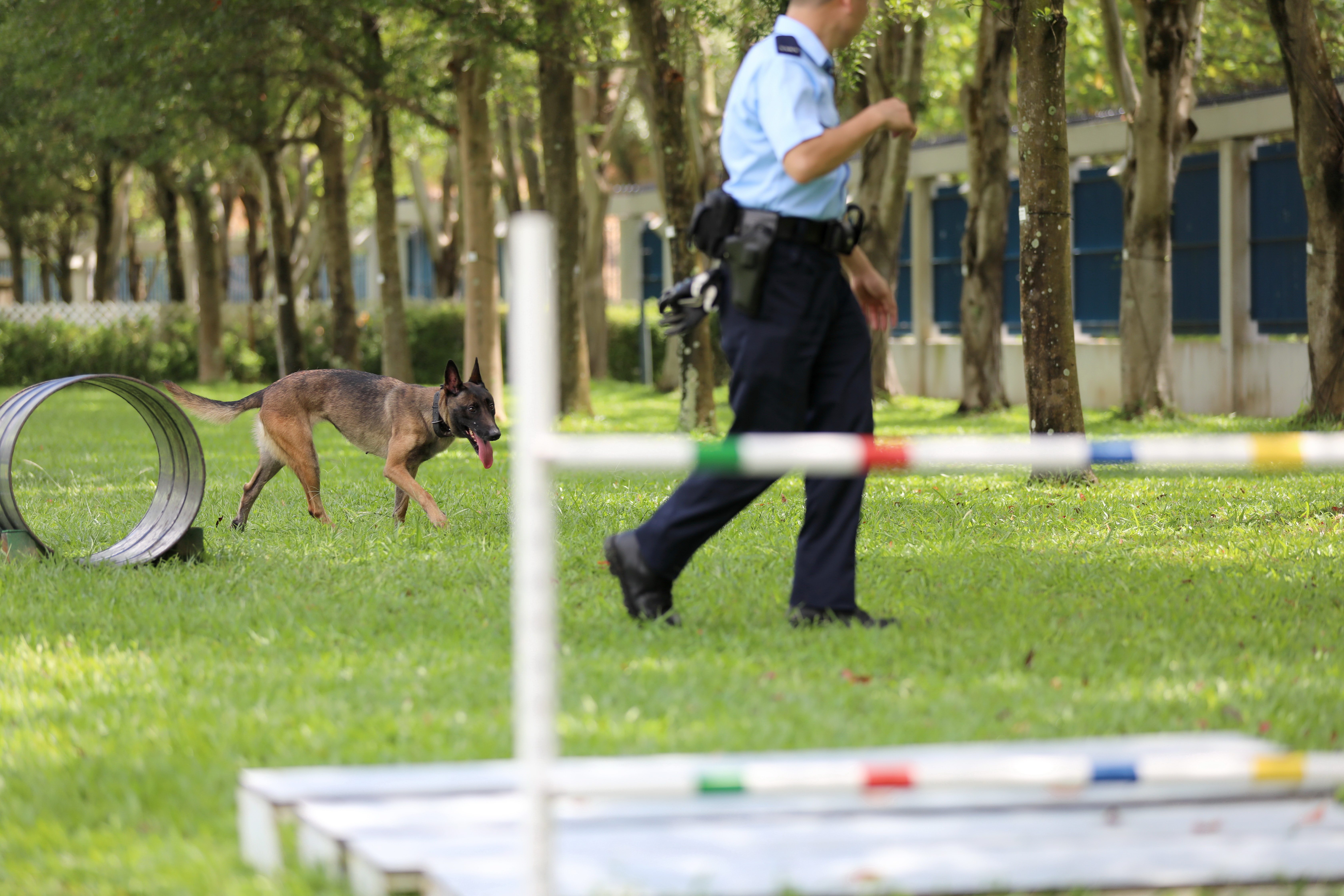 香港警犬队领犬员和他的"家人"