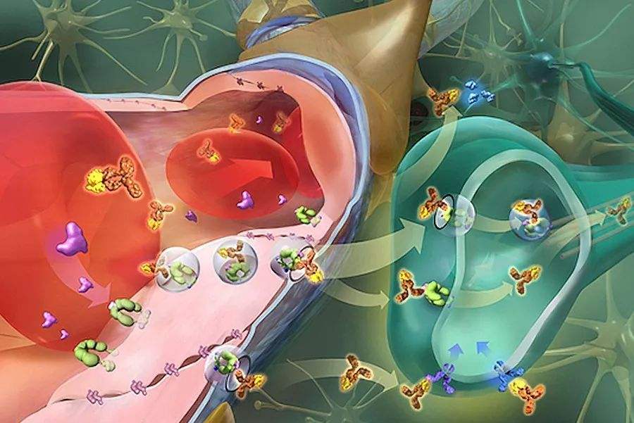 法布雷病的症状明显,但是患者经常忽视,那么它的症状有哪些?