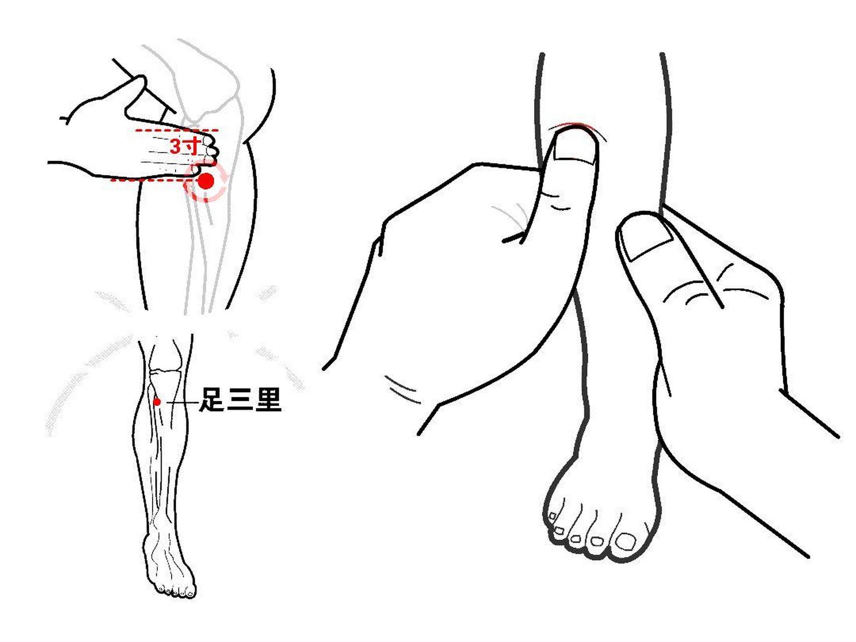 揉足三里正确手法图图片