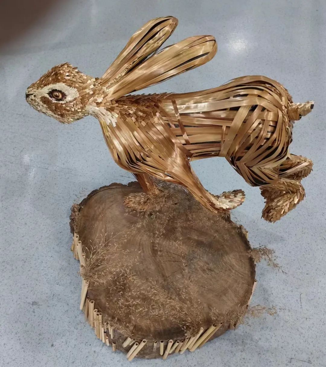 兔年说兔——青县白兔蹬鹰