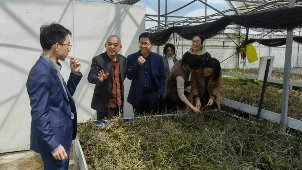 建攀集团多线赋能县域小微企业,全面助力乡村振兴发展