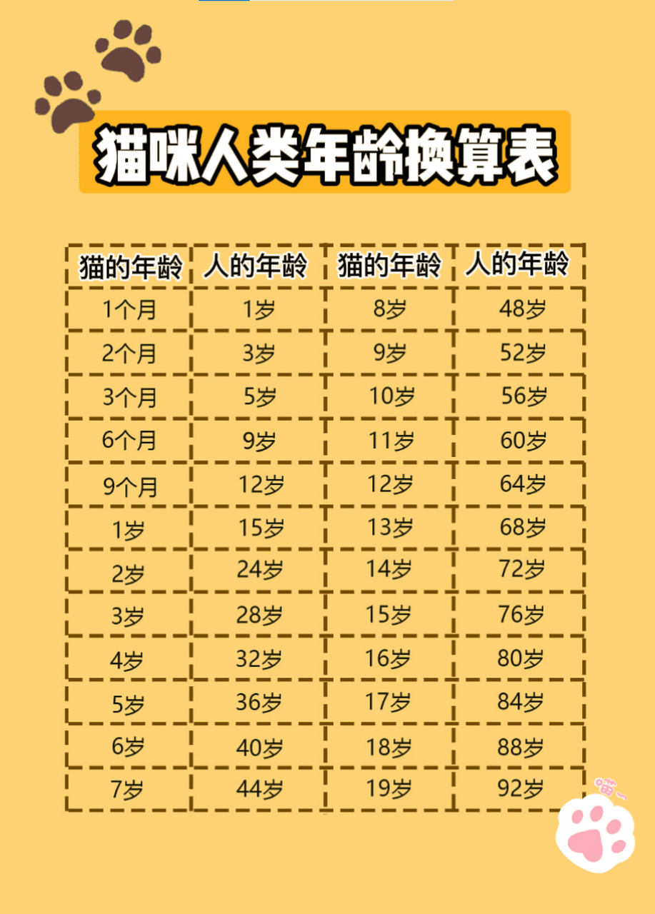 猫咪1岁=人类7岁?这是错误的,最新的年龄对照表出炉