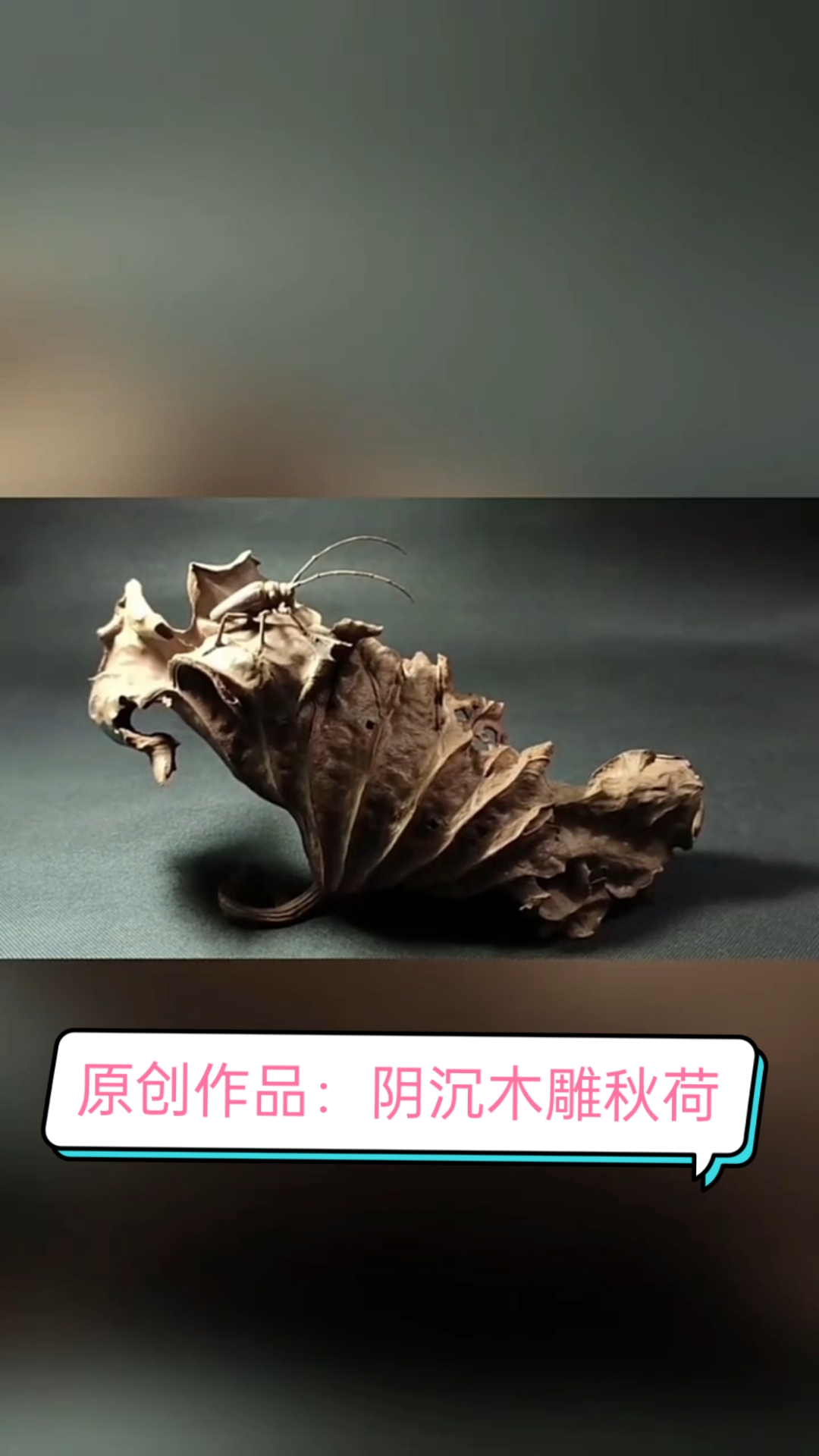 原创作品:阴沉木雕秋荷