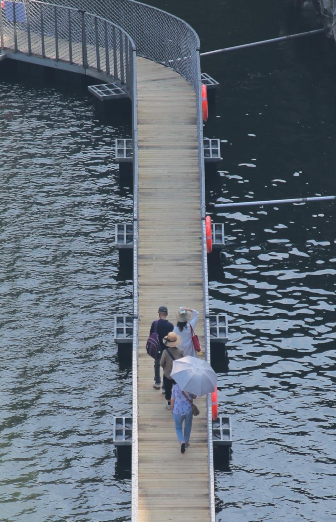 松江这个矿坑花园,开了!