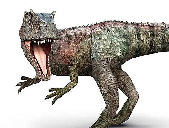 四川乐山一餐厅发现恐龙足迹 为什么恐龙灭绝后人类才出现